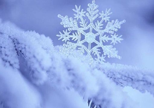 Maltempo, torna la neve in Piemonte: è allerta gialla Maltempo, torna la neve in Piemonte: è allerta gialla