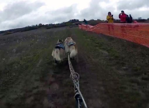 Europei bikejoring a due cani: il bibianese Vercellone si difende nel fango