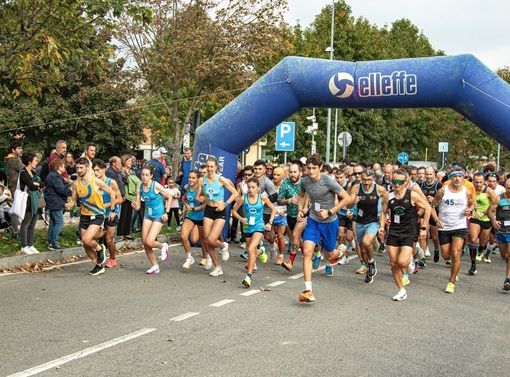 (Foto di Claudio Bonifazio)