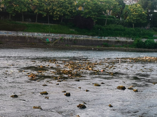 po in siccità - foto d'archivio po in siccità - foto d'archivio