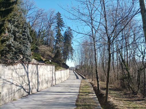 Via Bassa del Castello