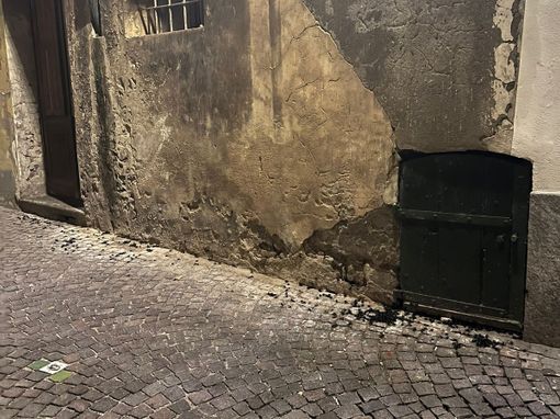 Gli scarafaggi in via del Pino Gli scarafaggi in via del Pino