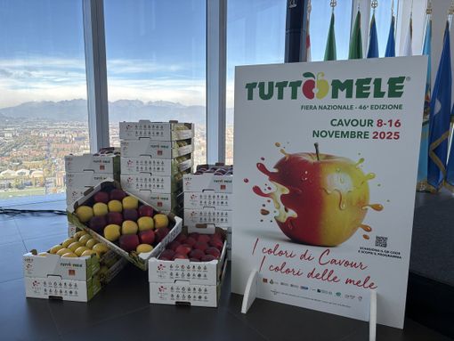 Il tempo di Tuttomele: Cavour si prepara per la 46esima edizione della Fiera Nazionale [VIDEO]