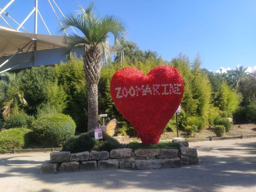 Cumiana: anche il romano Zoomarine entra nella famiglia di Zoom