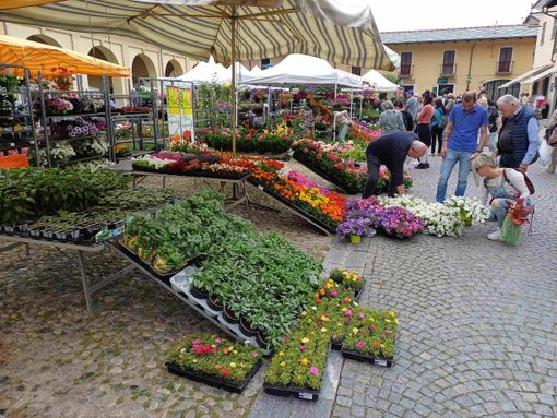 Alla scoperta di fiori e del centro storico per un fine settimana ai piedi della Rocca