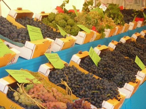 Pro loco e attività di Bricherasio al lavoro per riempire di gusto piazza Castelvecchio Pro loco e attività di Bricherasio al lavoro per riempire di gusto piazza Castelvecchio