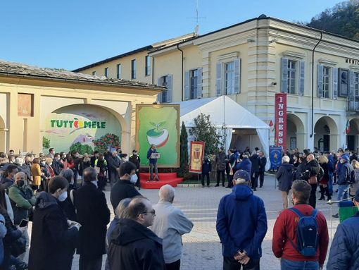 (Foto di repertorio) (Foto di repertorio)