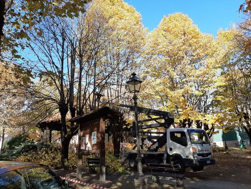 La potatura di stamattina