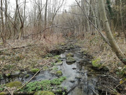 Luserna San Giovanni risorgiva Bocciardino
