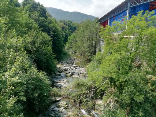 Perdita di acqua con soda caustica nel torrente Luserna: “Il corso è tornato alle condizioni naturali” Perdita di acqua con soda caustica nel torrente Luserna: “Il corso è tornato alle condizioni naturali”