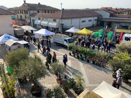 (Foto di repertorio) (Foto di repertorio)