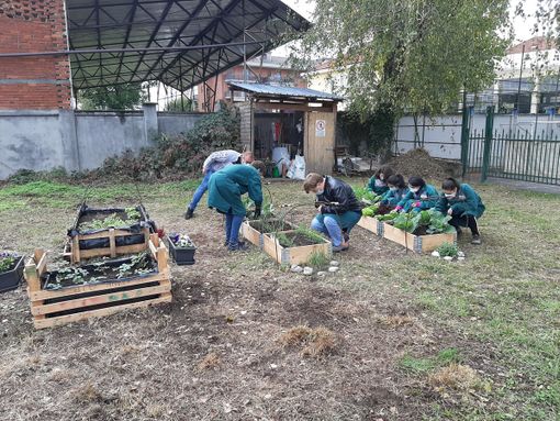 Dall’emergenza sanitaria all’Engim di Pinerolo è nato un orto didattico, che aiuta i ragazzi a crescere Dall’emergenza sanitaria all’Engim di Pinerolo è nato un orto didattico, che aiuta i ragazzi a crescere