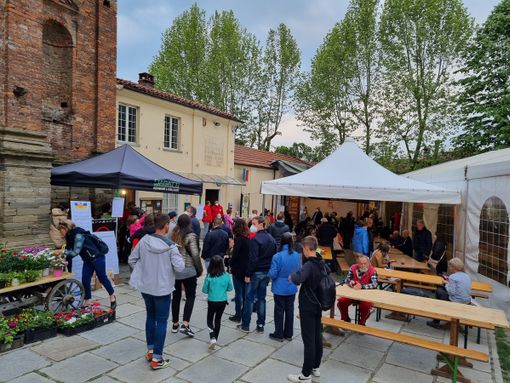 (Foto di repertorio) (Foto di repertorio)