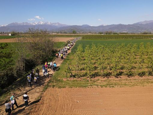 La camminata dello scorso anno La camminata dello scorso anno