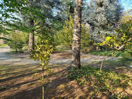 Il Parco di Villa Prever a Pinerolo