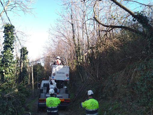 Forti raffiche di vento: 60 interventi nel fine settimana a Pinerolo Forti raffiche di vento: 60 interventi nel fine settimana a Pinerolo