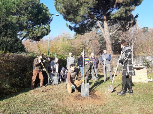 La piantumazione di sabato in strada Serena a Pinerolo