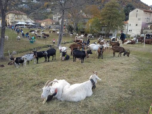 (Foto di repertorio) (Foto di repertorio)