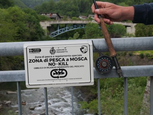 Pesca No Kill nel torrente Germanasca Pesca No Kill nel torrente Germanasca