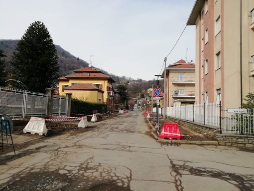 Viale della Rimembranza piante tagliate Viale della Rimembranza piante tagliate