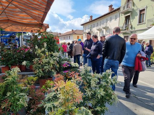 Un momento della scorsa edizione Un momento della scorsa edizione