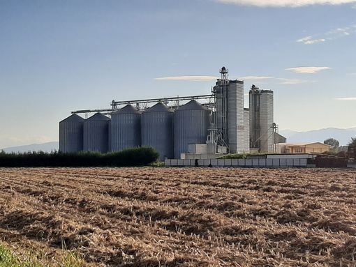 La Vigonese La Vigonese