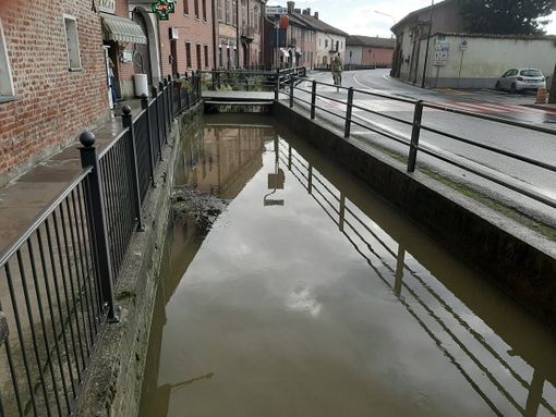 Pesci morti a Virle Piemonte: «Voglio andare fino in fondo»