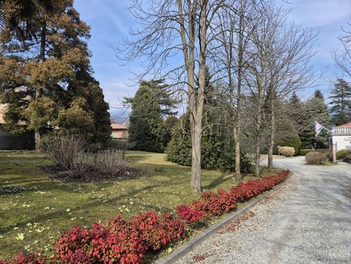 Uno scorcio del parco di Villa Widemann