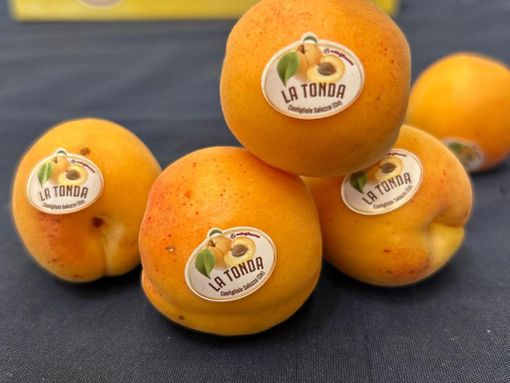 Fantasia di Tonda: domenica 13 luglio il Concorso di dolci che celebrano la Tonda  di Costigliole Saluzzo