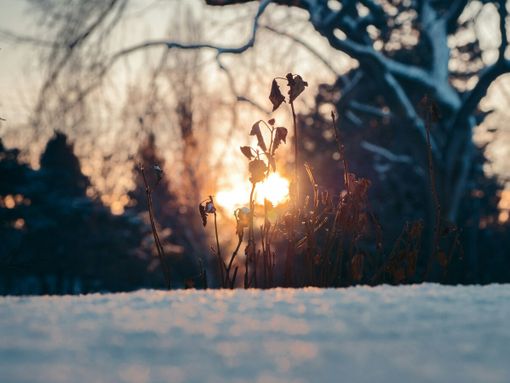 Samuel James - tramite Unsplash