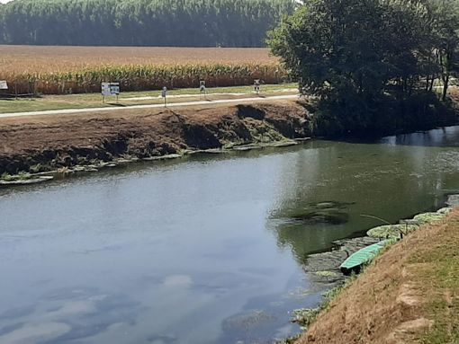 Fiera, musica, cucina tipica e altro ancora... tutto il programma della Sagra dei Pescatori di Villafranca Piemonte Fiera, musica, cucina tipica e altro ancora... tutto il programma della Sagra dei Pescatori di Villafranca Piemonte