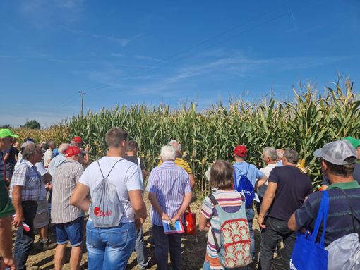 (Foto di repertorio)