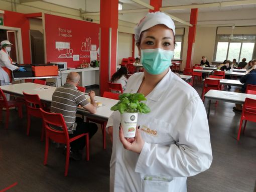 Cinquecento piantine di basilico per i dipendenti degli ospedali di Rivoli, Collegno, Susa e Pinerolo