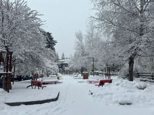 Meteo, possibile un Natale con la neve a Torino e provincia
