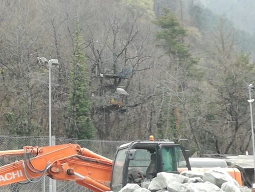 Tav, visita al cantiere di Chiomonte: ecco come avanzano i lavori della Torino-Lione [FOTO e VIDEO]