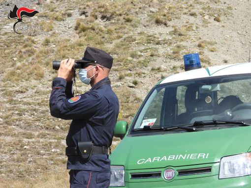 Dai controlli è emerso che c'erano decine di persone a caccia provenienti da un altro territorio Dai controlli è emerso che c'erano decine di persone a caccia provenienti da un altro territorio