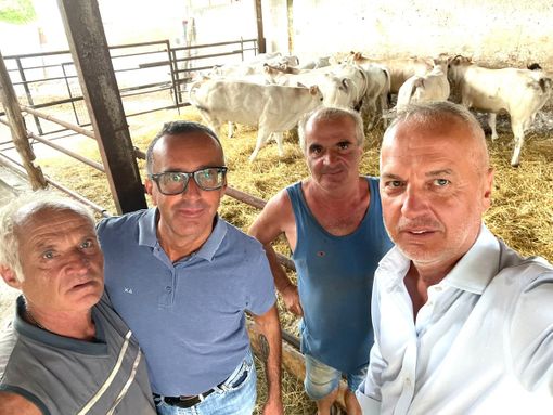 giorgio bergesio a sommariva bosco