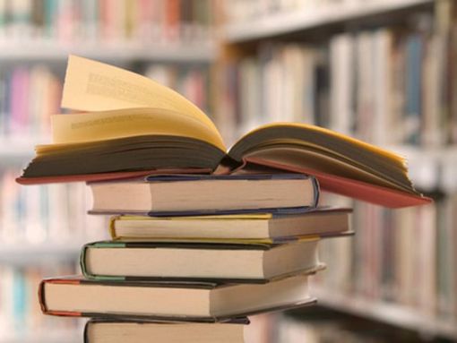 Dizionario monolingue in francese nel Pinerolese? È un’impresa ardua trovarlo Dizionario monolingue in francese nel Pinerolese? È un’impresa ardua trovarlo