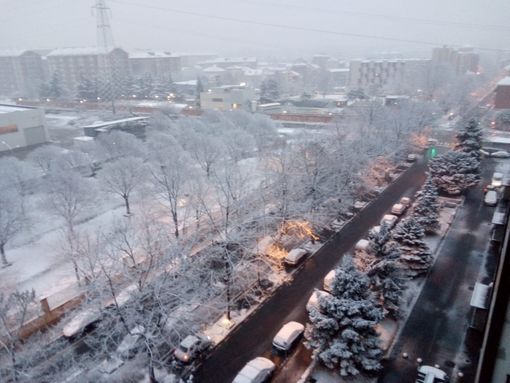 Neve a Torino Neve a Torino