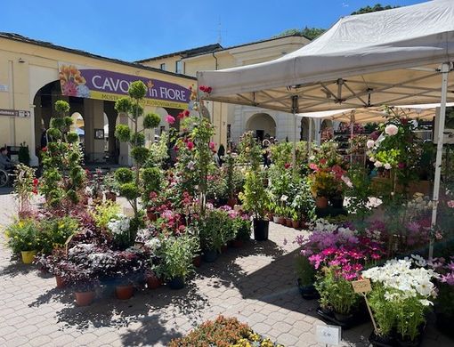 (Foto di repertorio)