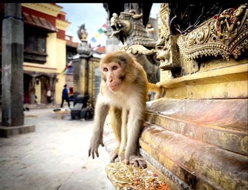 Uno degli scatti nepalesi di Christian Bosio Uno degli scatti nepalesi di Christian Bosio