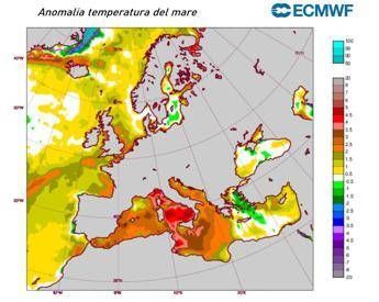 Mare rovente, il Mediterraneo si scalda per la 'Marine Heatwave': cos'è il fenomeno Mare rovente, il Mediterraneo si scalda per la 'Marine Heatwave': cos'è il fenomeno