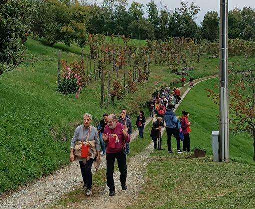 (Foto di repertorio)