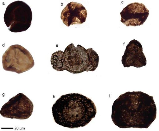 Tracce di fossili a livello del mantello terrestre: nelle valli del Pinerolese il primo caso al mondo