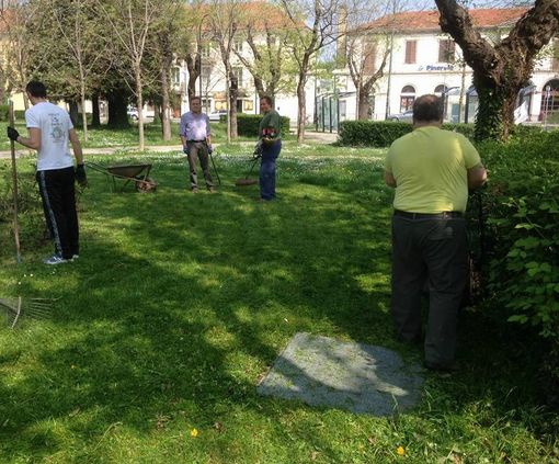 Pulizia movimento cinque stelle Pinerolo Pulizia movimento cinque stelle Pinerolo
