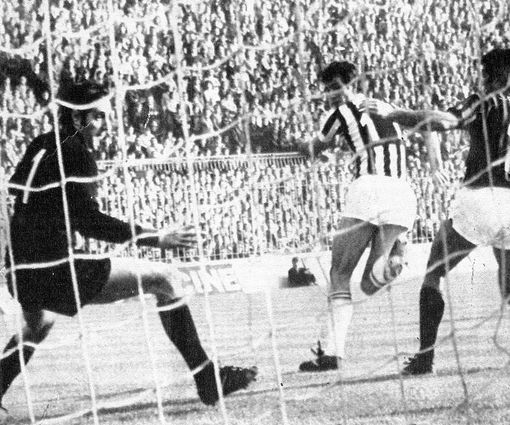 immagine tratta da wikiwand.com immagine tratta da wikiwand.com