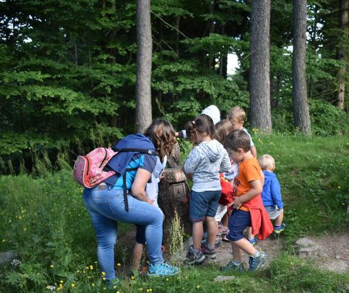 Gita Primaverile a Pian Munè di Paesana per le scuole