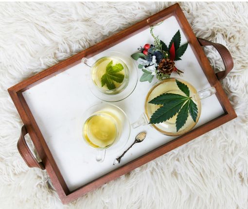 CBD, alla scoperta di un prezioso alleato della skincare CBD, alla scoperta di un prezioso alleato della skincare