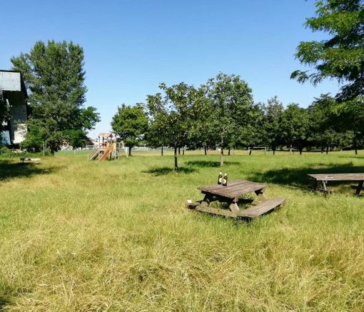 Nuovi arredi per l’area verde sul Pellice semi abbandonata a Luserna San Giovanni