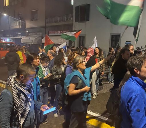 La manifestazione a Udine